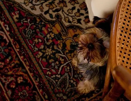 Locanda Dei Cinque Cerri