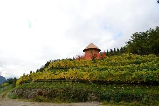 Locanda San Martino - Dış Mekan