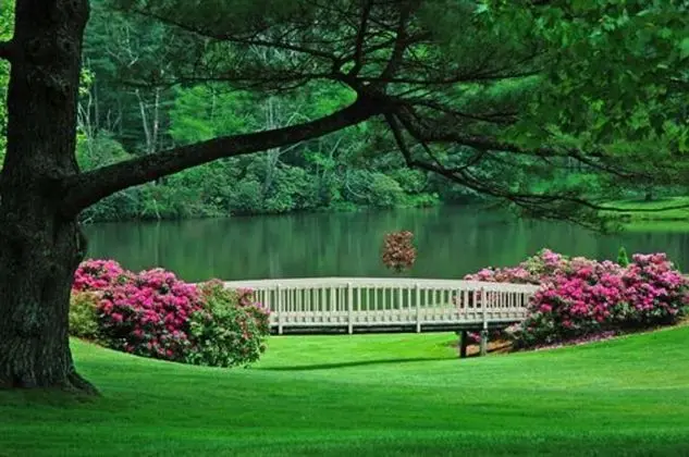 The Lodge at Chetola Resort - Dış Mekan