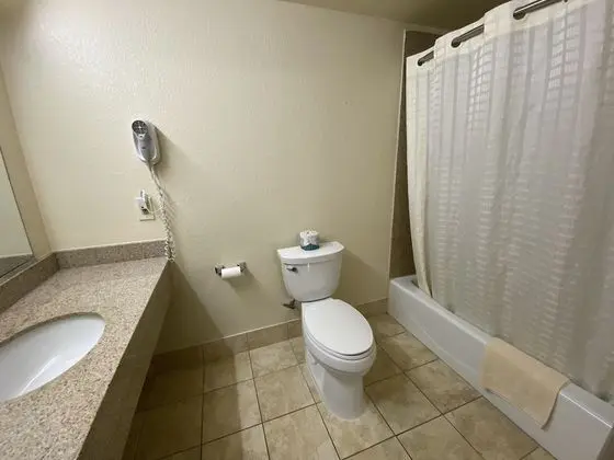 Lodge Inn - Banyo Tipleri