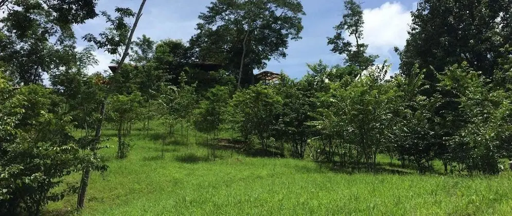 Lodge Margouillat - Dış Mekan