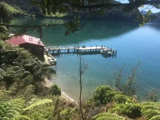 The Lodge At Te Rawa - Boat Access Only - Dış Mekan