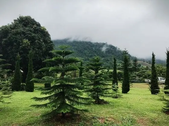 Loesloei Garden Resort Phurua