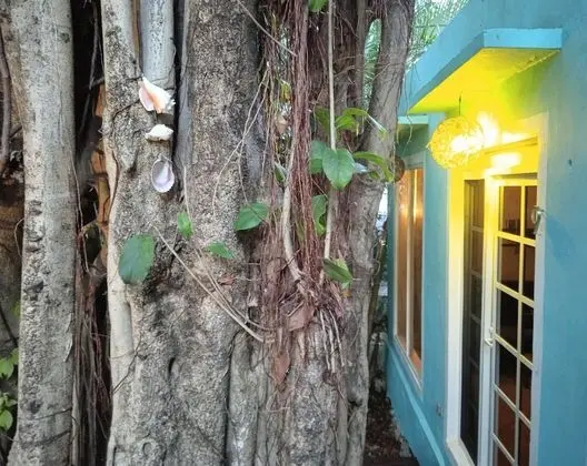 Loft 9 in the Center of Cancun - Dış Mekanlar
