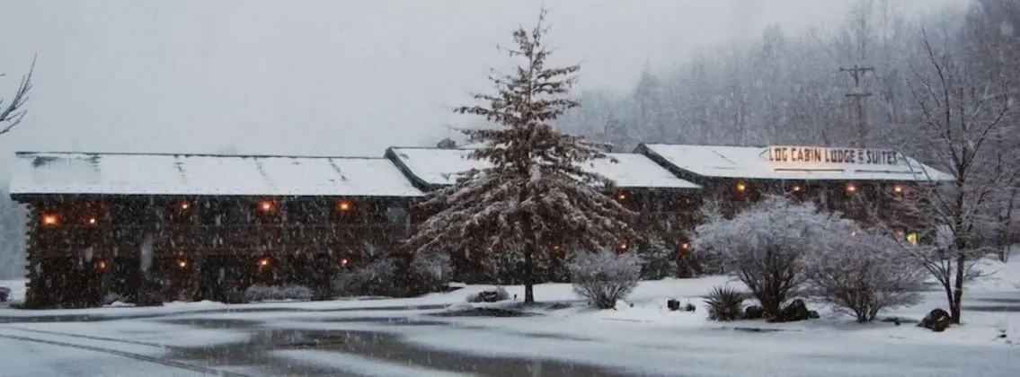 Log Cabin Lodge & Suites - Dış Mekan