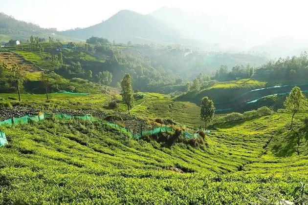 Logan Camp Ooty