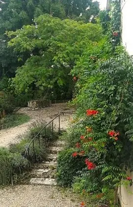 Logis de Chenac - Dış Mekan