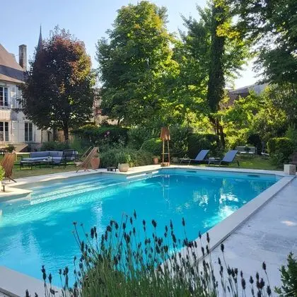 Logis des Tourelles - Havuz