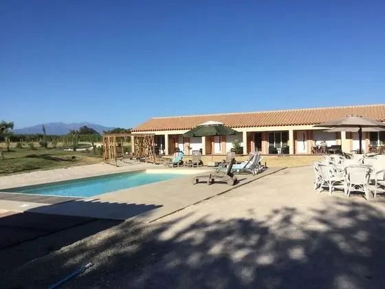 L´oliveraie - Havuz