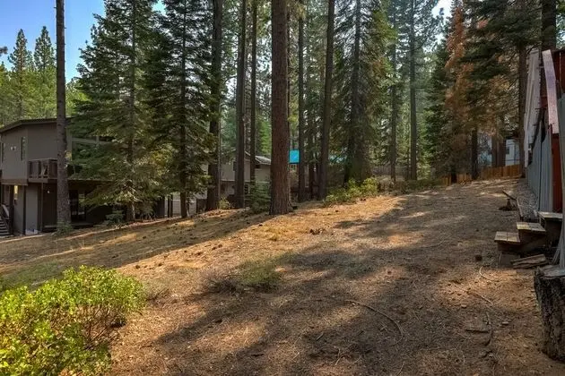 Lone Pine Lodge - Dış Mekan