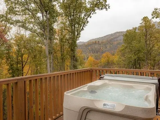 Lone Wolf Lodge by Jackson Mountain Homes - Havuz