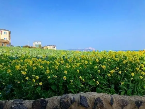 Long Island Guesthouse - Hostel - Dış Mekan