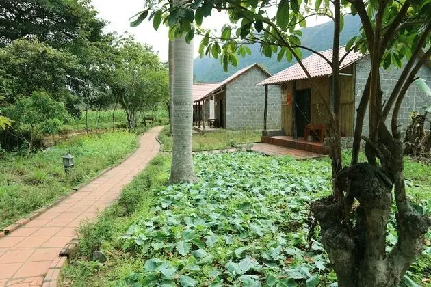 Long Phuong Homestay - Dış Mekan
