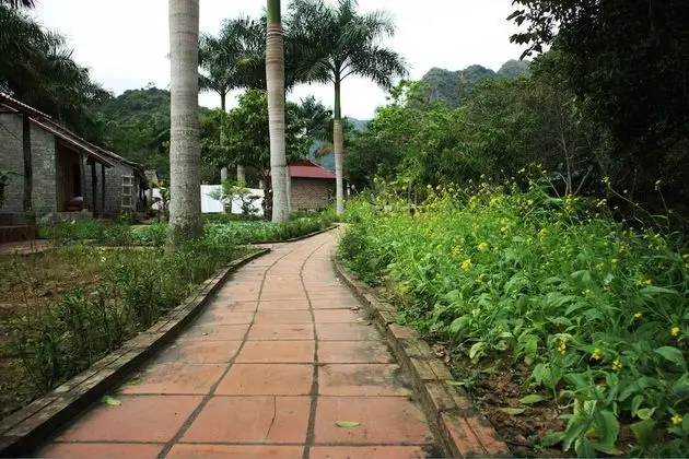 Long Phuong Homestay - Dış Mekan