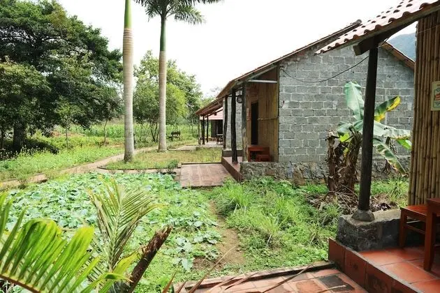 Long Phuong Homestay - Dış Mekanlar