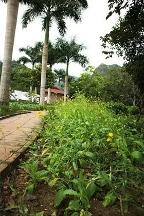 Long Phuong Homestay - Konum Öne Çıkanlar
