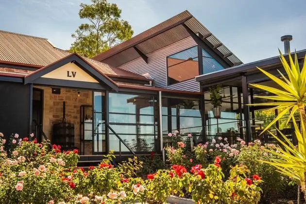 Longview Vineyard