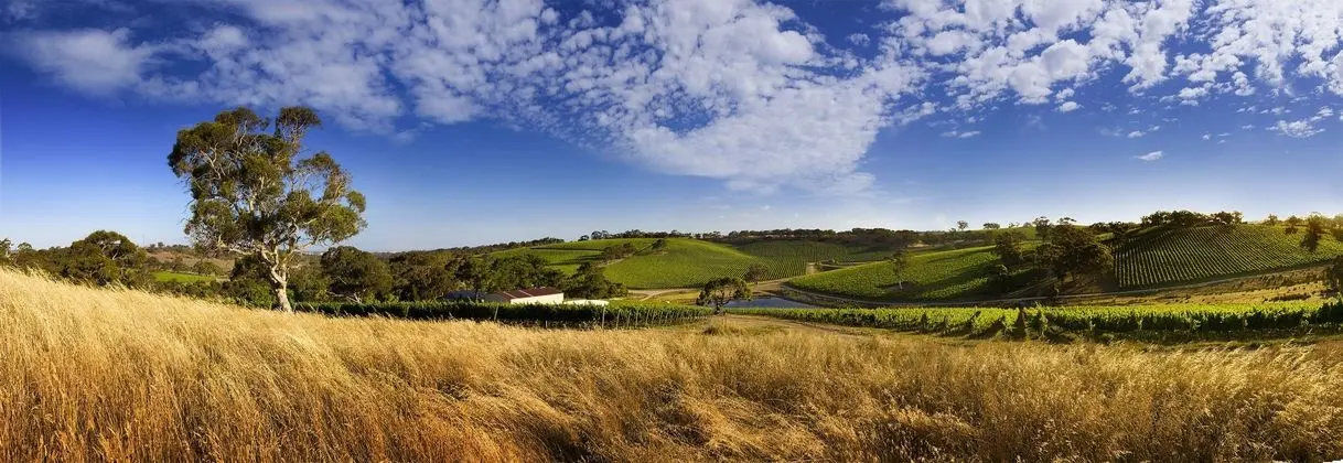 Longview Vineyard - Dış Mekan