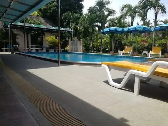 Lonops Paradise - Havuz