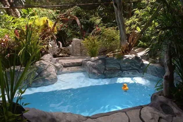 The Lookout Inn Lodge - Havuz