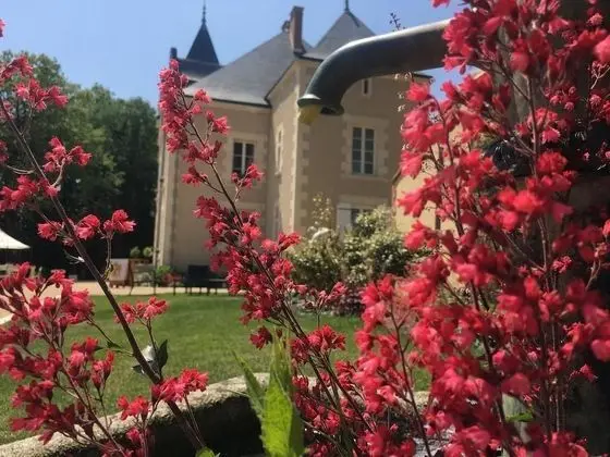 L'orangerie DU Chateau DES Cedres - Oda Manzaraları
