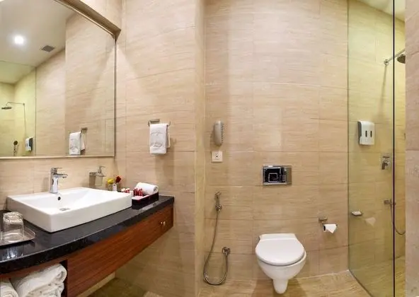 Lords Eco Inn Rajkot Shapar - Banyo Tipleri