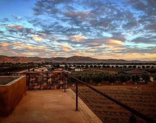 Hotel los Amantes Valle de Guadalupe - Dış Mekan