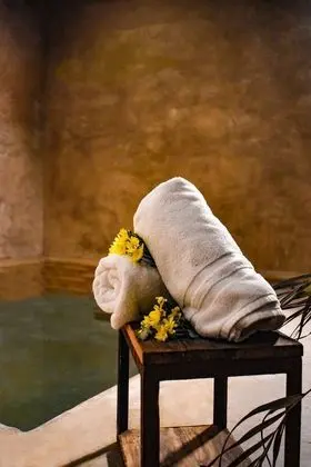 Hotel los Amantes Valle de Guadalupe - Spa