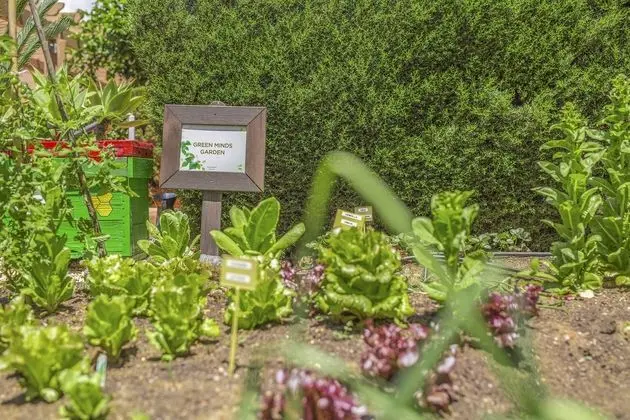 Los Amigos Beach Club by Diamond Resorts