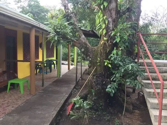 Los Amigos Jungle Hotel Tortuguero - Dış Mekan