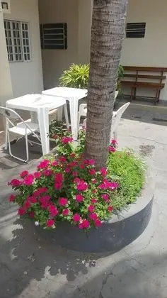 Hotel Los Angeles Aeroporto - Dış Mekan