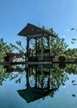 Los Gallitos Eco Lodge - Havuz
