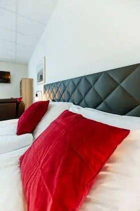 Los Lorentes Residences Bern Airport - Oda