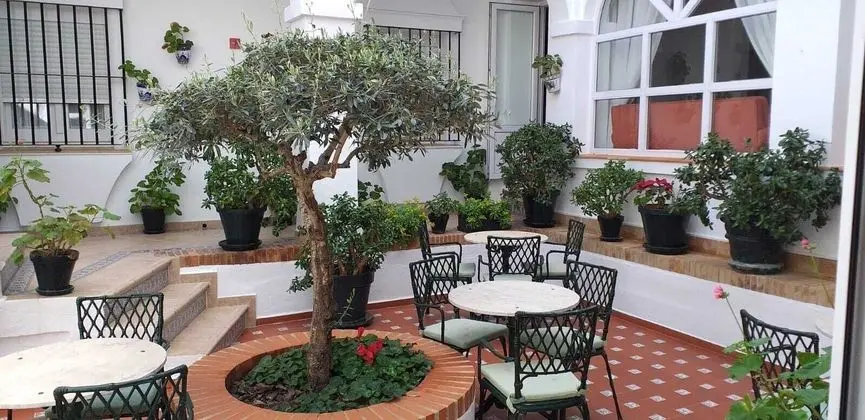 Los olivos - Öne Çıkan Resim