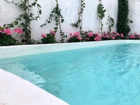 Los Patios del Agua - Havuz