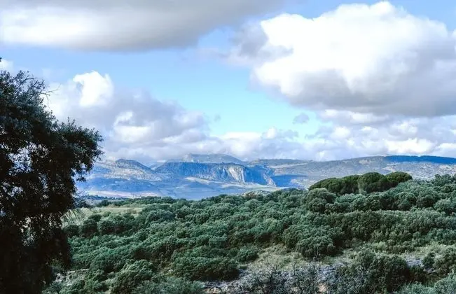 Los Pilares de Ronda Boutique & Hotel - Dış Mekan