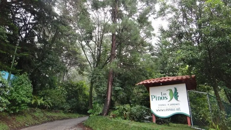 Los Pinos Cabanas y Jardines - Dış Mekan