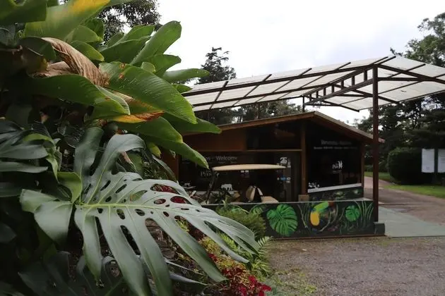 Los Pinos Cabanas y Jardines - Lobi