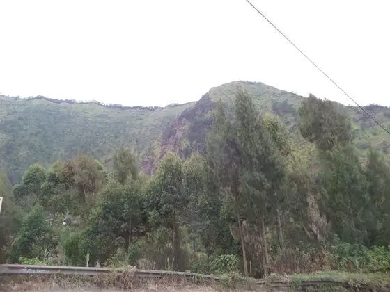 Losmen Setia Kawan I