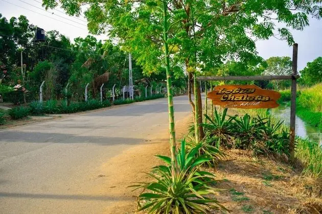 Lotus Chalets Eco Hotel - 1