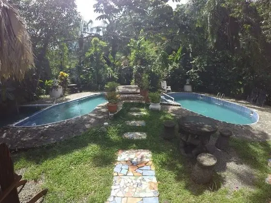 The Lotus Garden - Havuz