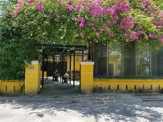 Lotus House