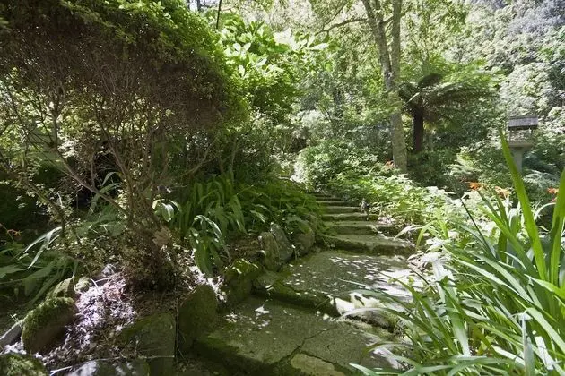 Lotus Lodges - Lobi