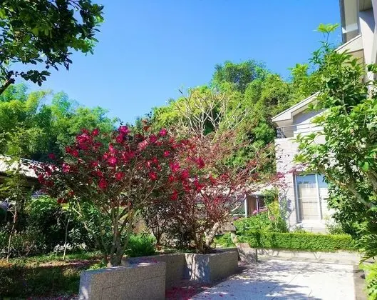 Lotus Moon B&B