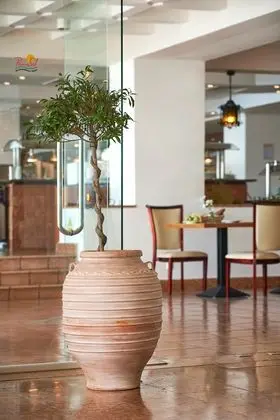 Louis Ionian Sun – All Inclusive - Lobi