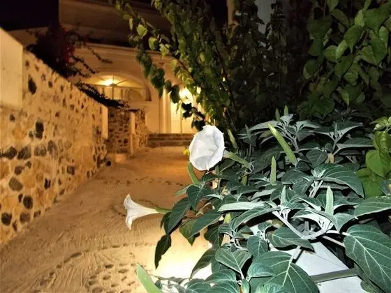 Loukas Kontos Traditional House - Dış Mekan