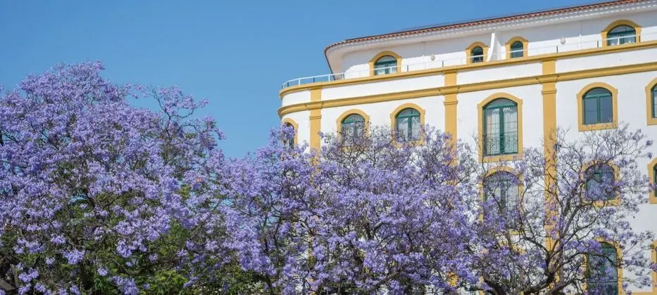 Loule Jardim - Dış Mekan