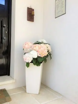 Lousoan - Lobi