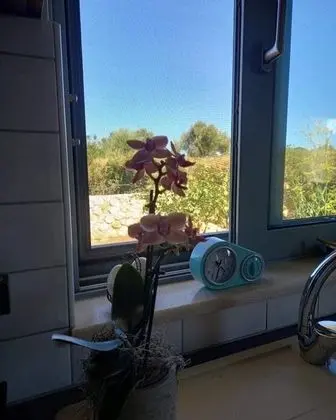 Lovely 1-bed Apartment in Metaxata - Oda
