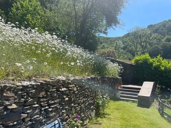 Lovely 2-bed Cottage in Blaenau Ffestiniog - Dış Mekan